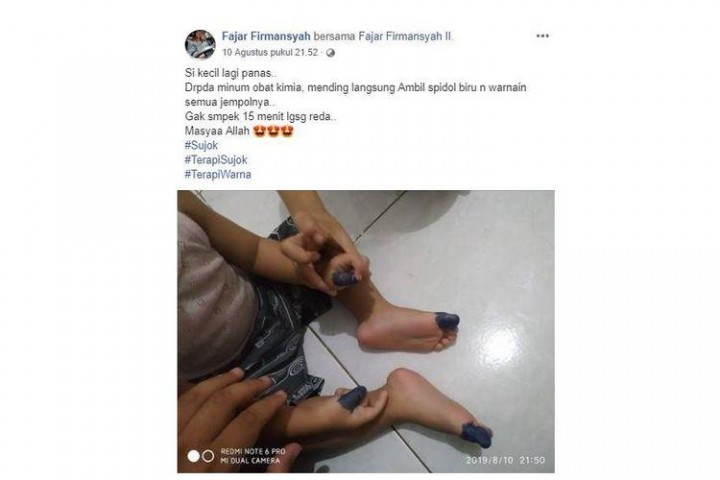 feed