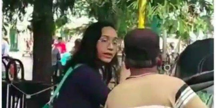 feed