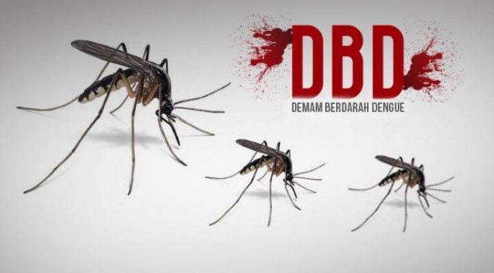 Kesadaran Jaga Lingkungan Rendah, Picu Tren DBD Meningkat