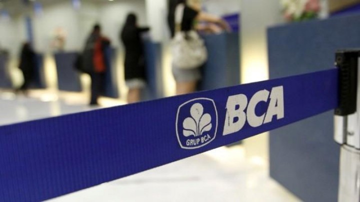 feed