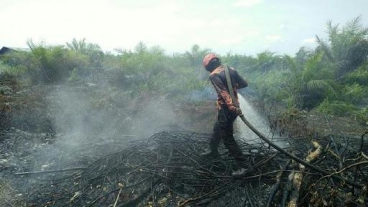 Diduga Penyebab Karhutla, Warga Tanjung Laut Diamankan Polisi 