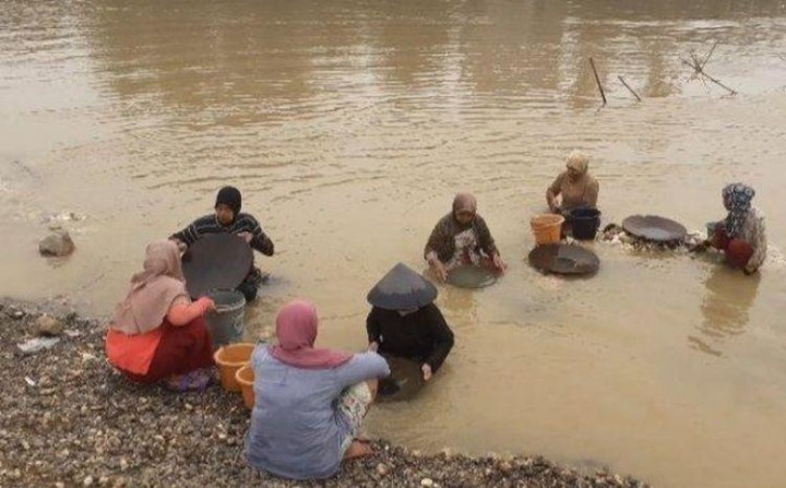 Cerita di Balik Petani Karet di Jambi Beralih Mendulang Emas