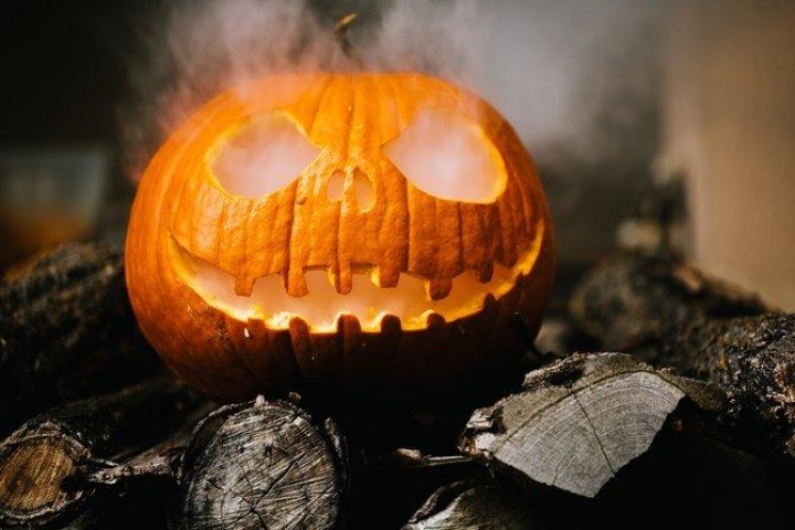 Ini Alasan Labu Identik dengan Halloween