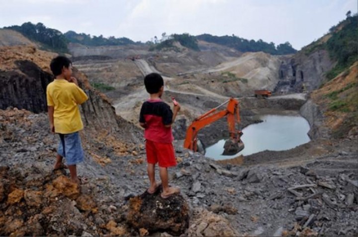 Jutaan Lahan Tambang Kaltim Ancam Ketahanan Pangan