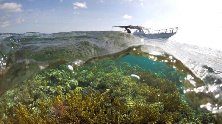 Kalahkan Italia, Indonesia Destinasi Wisata Terbaik 
