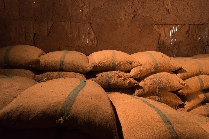 20 Ribu Ton Beras Turun Mutu Dibeli Perusahaan Lem Rp 23,8 M 