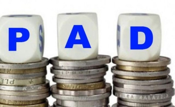 Target PAD Meleset 1 Miliar Rupiah