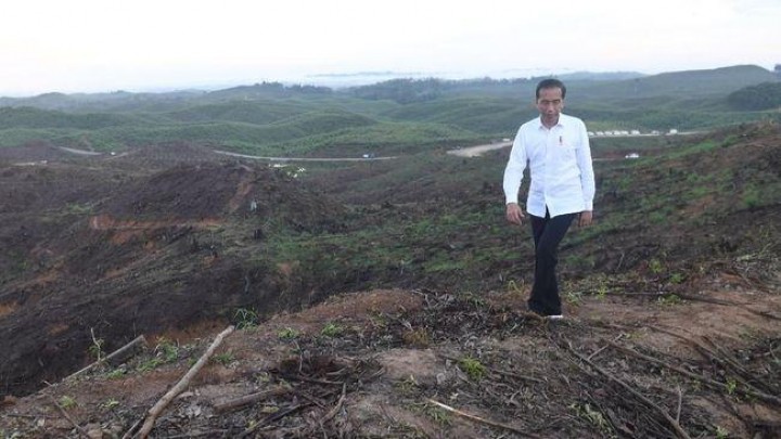 Jokowi Ajak Seluruh Dunia Investasi di Ibu Kota Baru