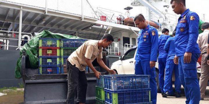 Ribuan Kepiting di Kukar Gagal Diselundupkan ke Malaysia