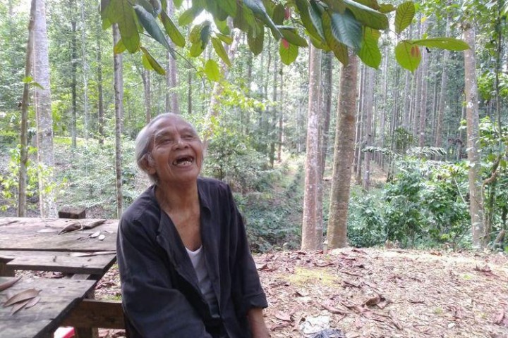 Kisah Suhendri, Kakek 78 Tahun Menolak Rp 10 Miliar Demi Jaga Hutan