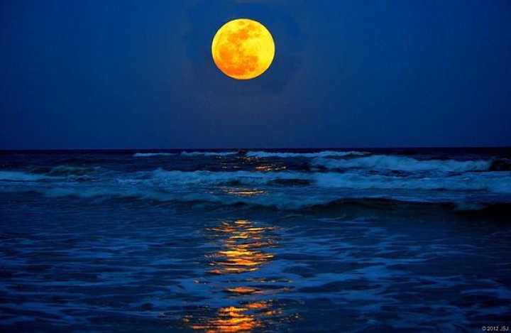 Ada Supermoon, Jangan Main di Pantai Hingga 22 Januari 