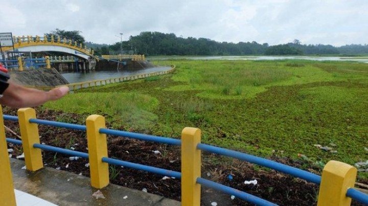 Tak Kondusif, Bendungan Benanga Dipenuhi Sedimentasi, Veridiana Wang : Pemda harus subsidi petani