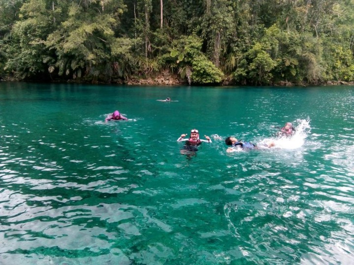 Ditetapkan Jadi Paru-Paru Dunia, World Bank akan Gelontorkan Dana Ratusan Juta