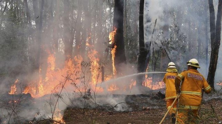 239 Titik Panas Terdeteksi Karhutla, Terbanyak di Kalimantan