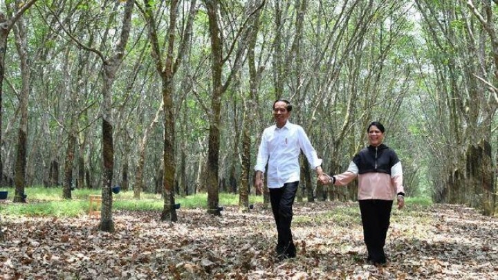 Presiden Jokowi Heran Ada Durian Mahal, Rasa Tak Enak 