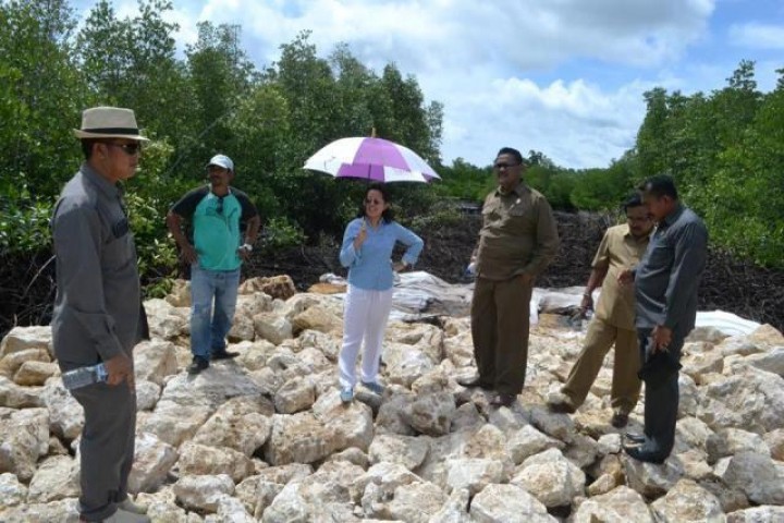 Lahan Mangrove Dirusak, DPRD Hentikan Proyek PLTU