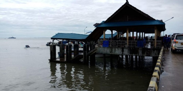 feed