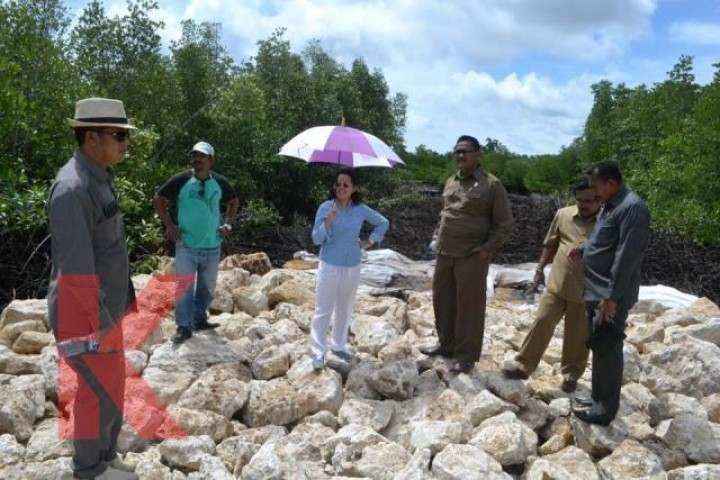 Demi Proyek Kilang Bontang, Pansus Bahas Tebang Mangrove