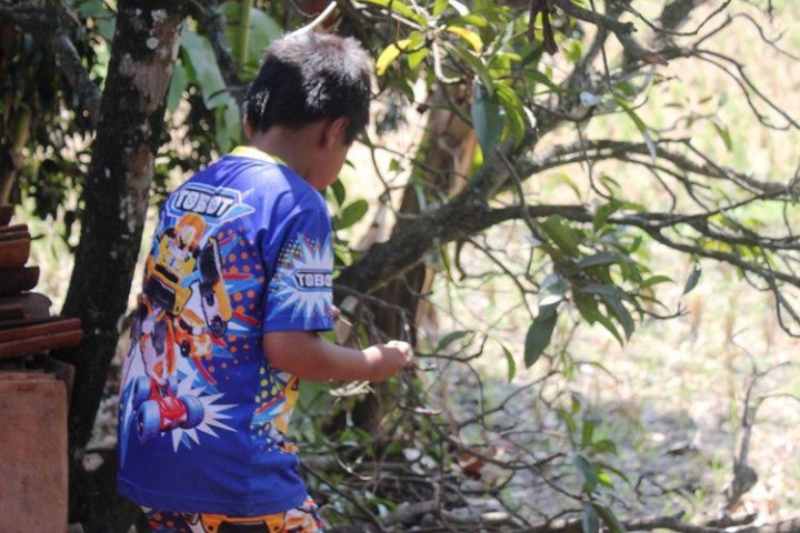 Bocah 11 Tahun di Cianjur Ini Gemar Gigit Binatang hingga Mati  