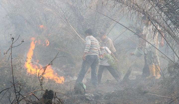 Jokowi Ancam Copot Pangdam dan Kapolda Jika Tak Mampu Atasi Kebakaran Hutan