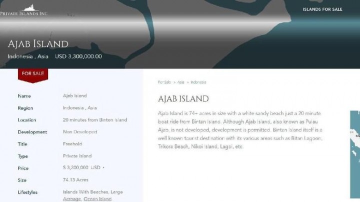 BIKIN GEGER! Pulau di Indonesia Dijual di Situs Online Seharga Rp 44 M