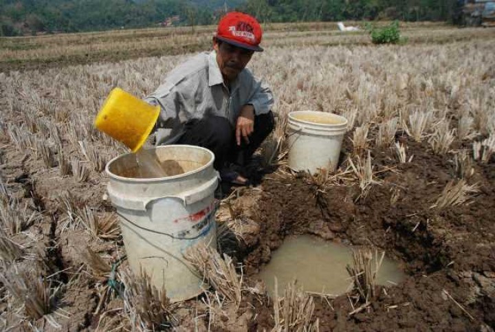 Suhu Bumi Diprediksi Kian Panas