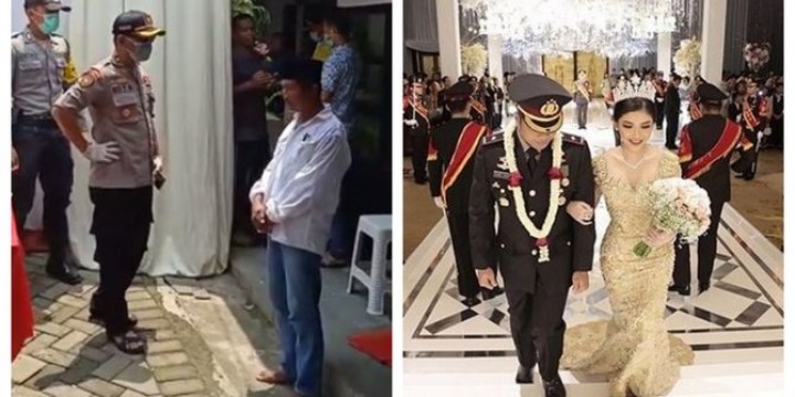 feed