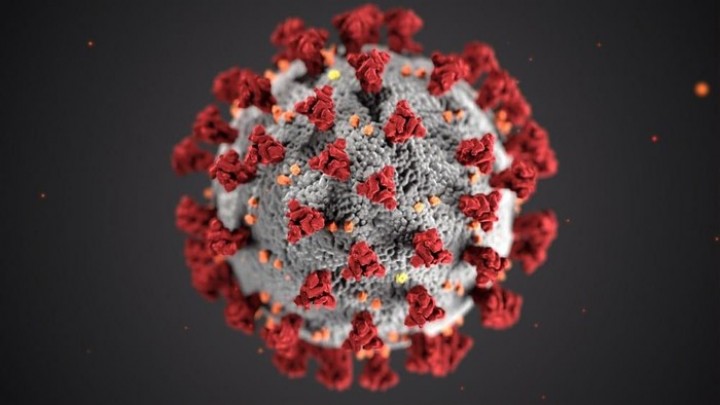Kapan Pandemi Virus Corona Berakhir? Ini Prediksinya