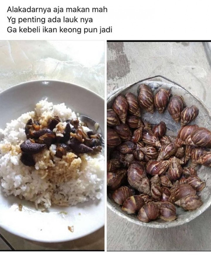 Tak Punya Lauk, Netizen Ini Menyantap Bekicot