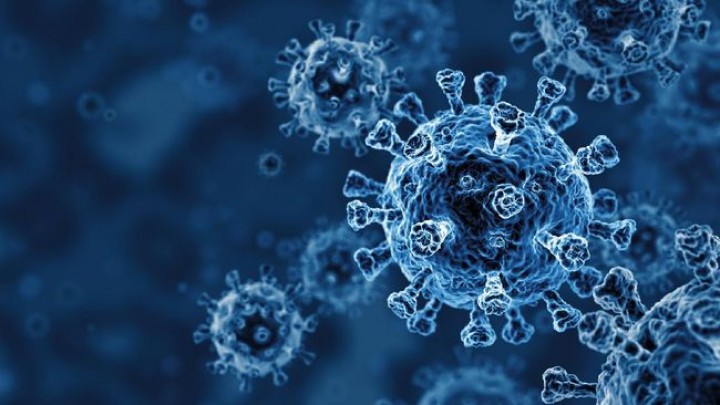 UI Ungkap Kronologi Negara Abai Virus Corona Masuk RI Januari