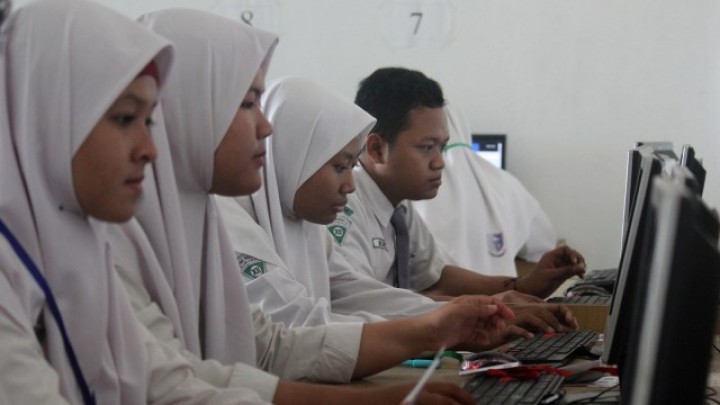 feed