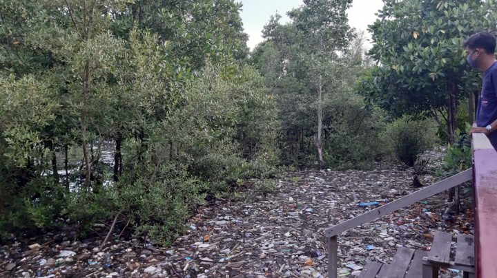 Kondisi Taman Mangrove Masih Jorok, Lurah : Besok Kerja Bakti