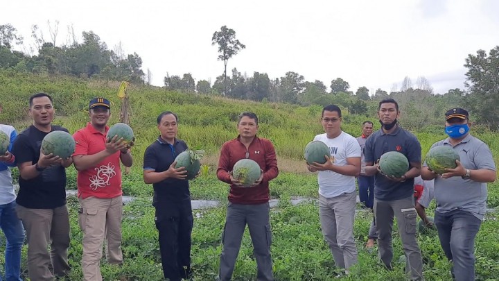 Lapas Bontang Riang Gembira, Panen Semangka dengan Jumlah Fantastis
