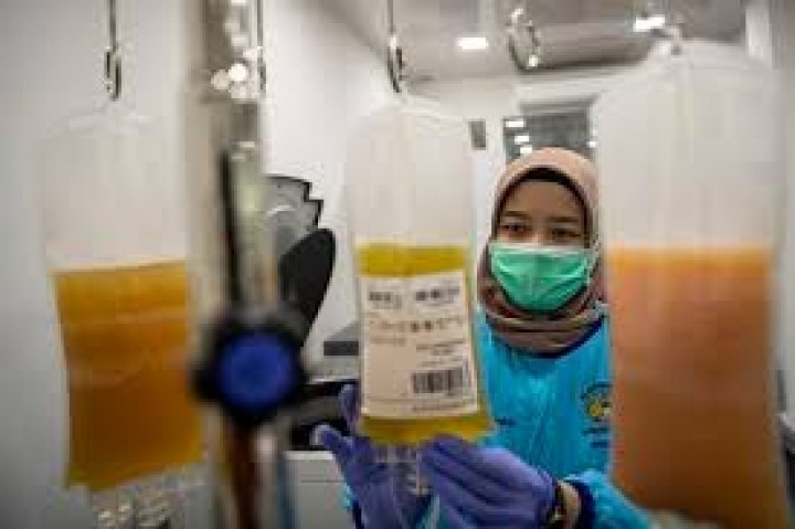 Uji Coba Donor Plasma Darah untuk Pasien Covid-19 di Bontang Dimulai Tahun Depan