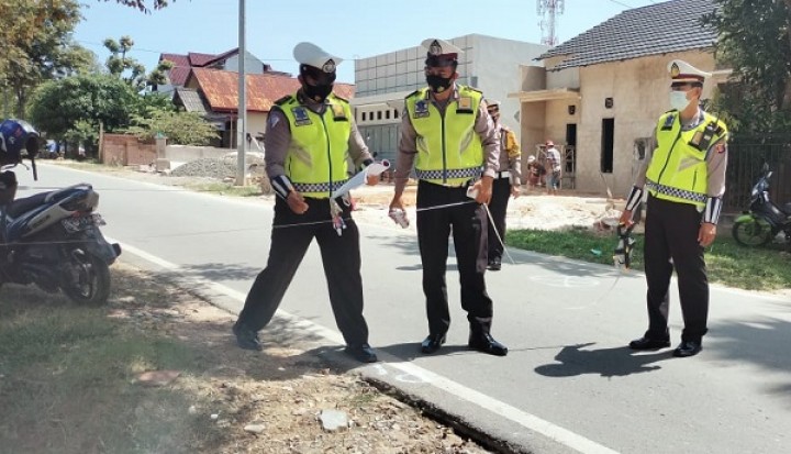feed