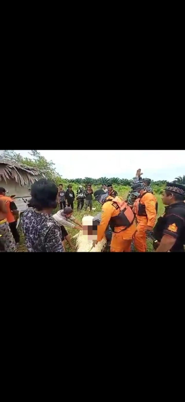 Bocah 8 Tahun Ditelan Bulat-bulat Buaya Sangatta