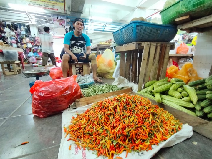 Makin Pedas ! Harga Cabai Tembus Rp 100 Ribu Per Kilogram di Bontang