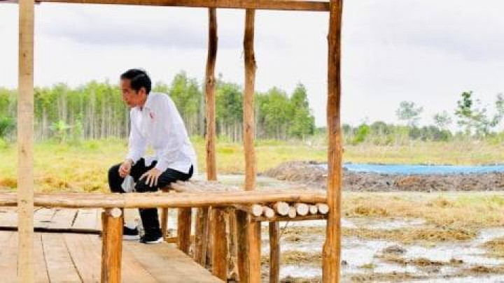Pemerintah Akan Impor Beras 1 Juta Ton, Hasil Lumbung Pangan Dipertanyakan
