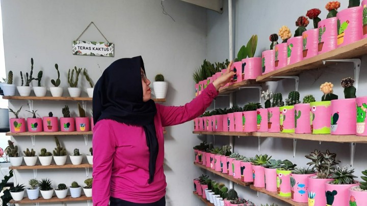 Menanam Kaktus di Pekarangan Rumah, Zahra Bisa Kantongi Rp 2 juta Sebulan