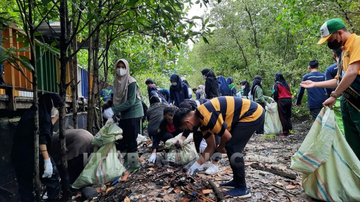Komunitas Pemuda Turun Aksi Bersihkan Mangrove