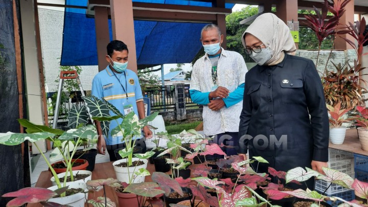 Najirah Dorong Tanaman Hias Jadi Komoditi Unggulan di Masa Pandemi