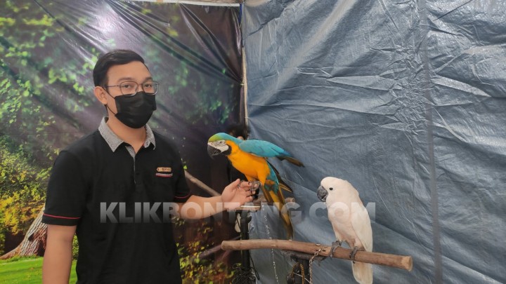 Bisa Raup Omzet Rp 5 Juta dari Bisnis Swafoto Satwa
