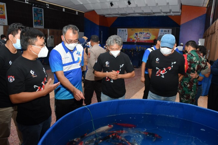 Capai 1.200 Pendaftar, PKT Bontang KOI Show 2021 Cetak Sejarah Peserta Tertinggi di Kalimantan