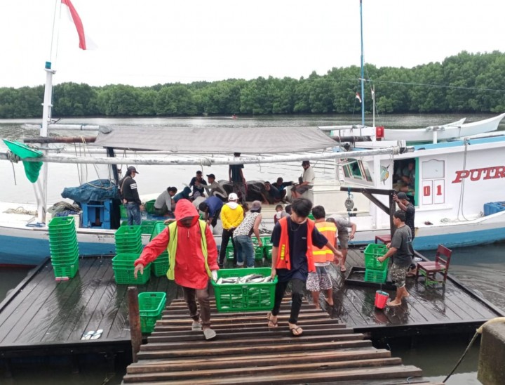 Nestapa Nelayan di Masa Pandemi, Harga Ikan Turun Ongkos Melaut Naik