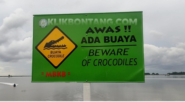 BKSDA Kaltim Segera Evakuasi Buaya yang Terkam Warga Bontang Kuala