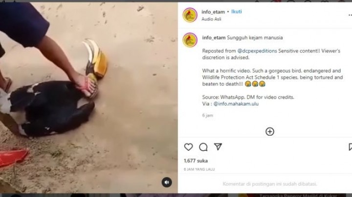 feed