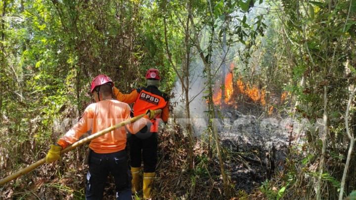 Lagi, Lahan di Bontang Lestari Terbakar