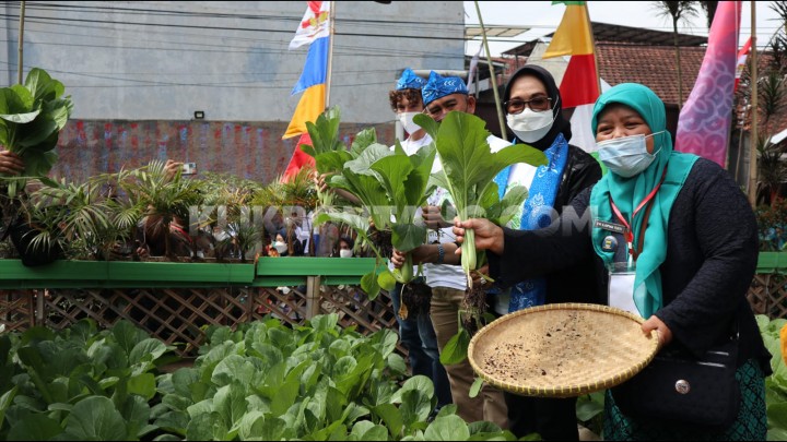 Konsep Urban Farming di Bandung Bikin Najirah Kagum, Bakal Diaplikasikan di Bontang