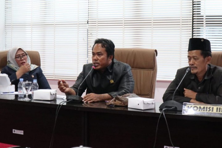 Faisal Dorong Pemkot Bebaskan Lahan di BSD untuk RTH 