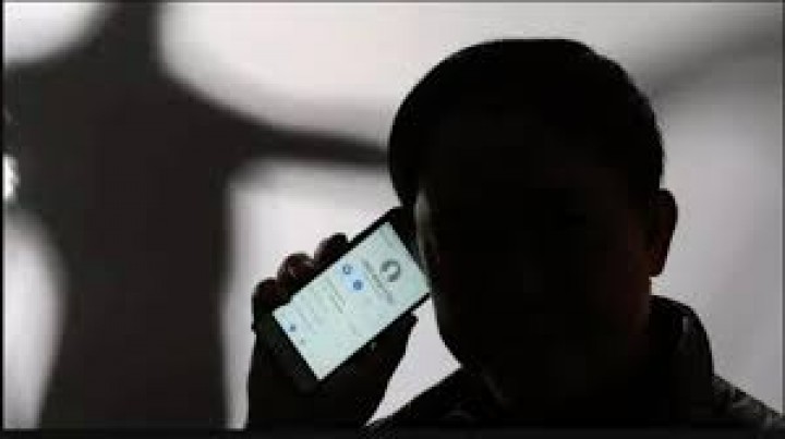 feed